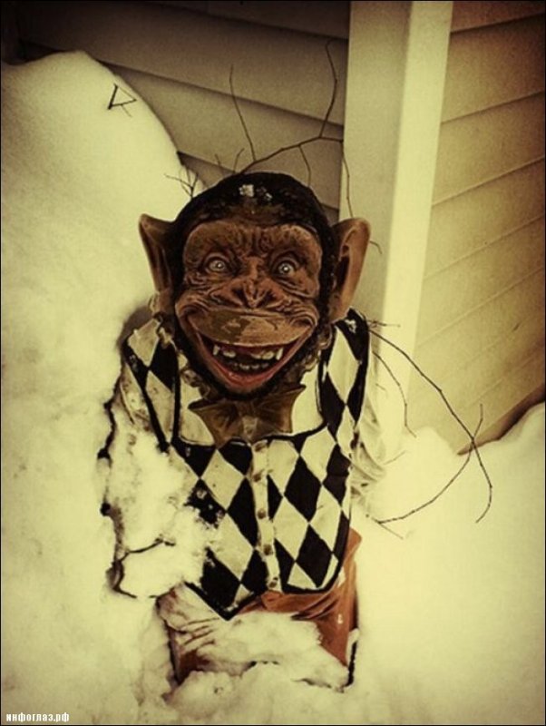 Ужасы нашего городка Стоянов