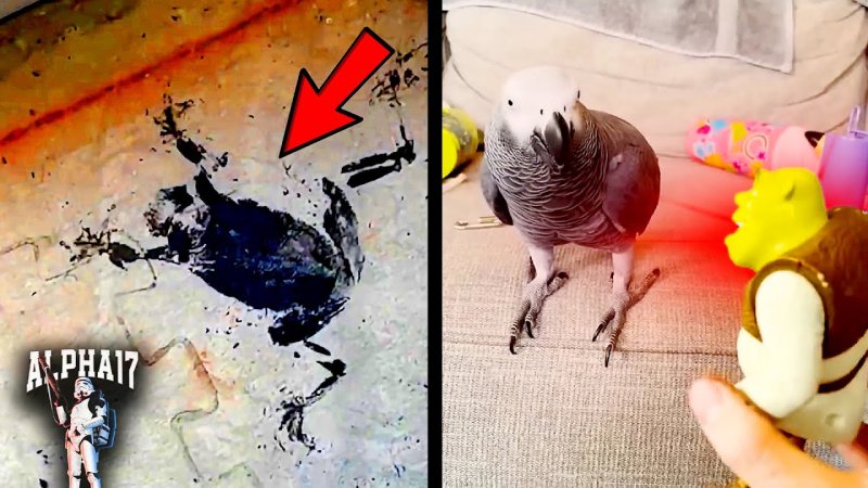 Ужасы нашего городка заставка