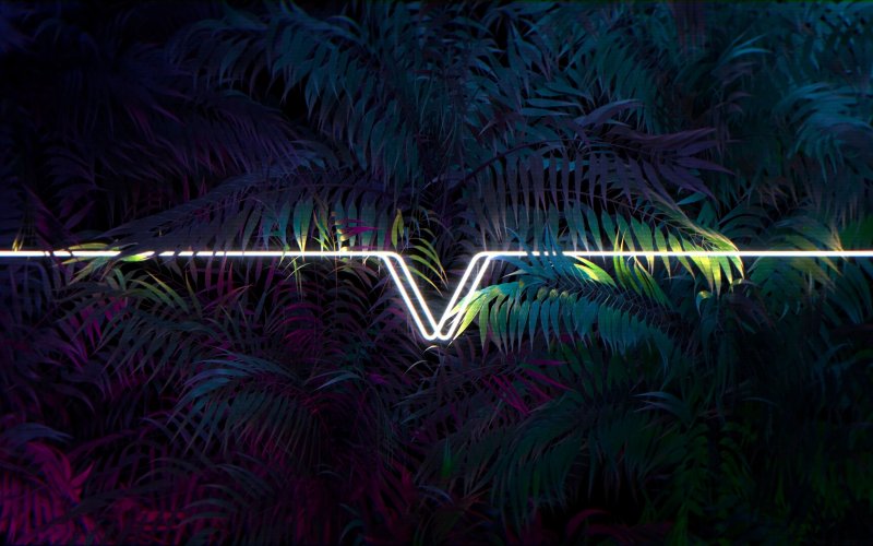 Неоновые пальмы