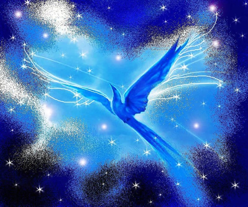 Волшебная птица