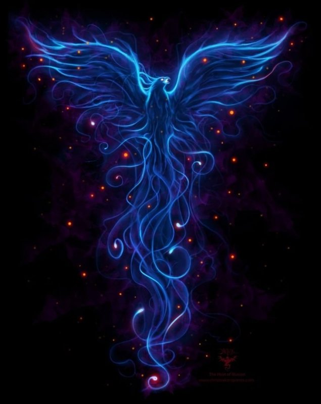 Неоновые птицы