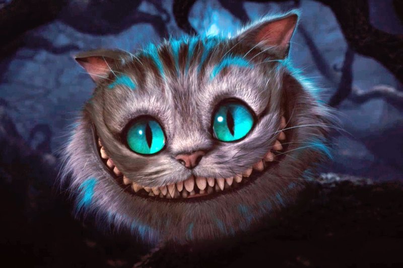 Чишминский кот Алиса в стоане чудес