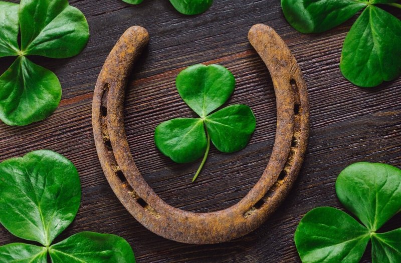 Четырёхлистный Клевер талисман