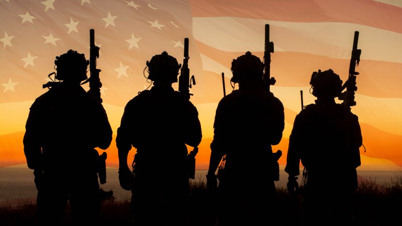 Силуэт военного