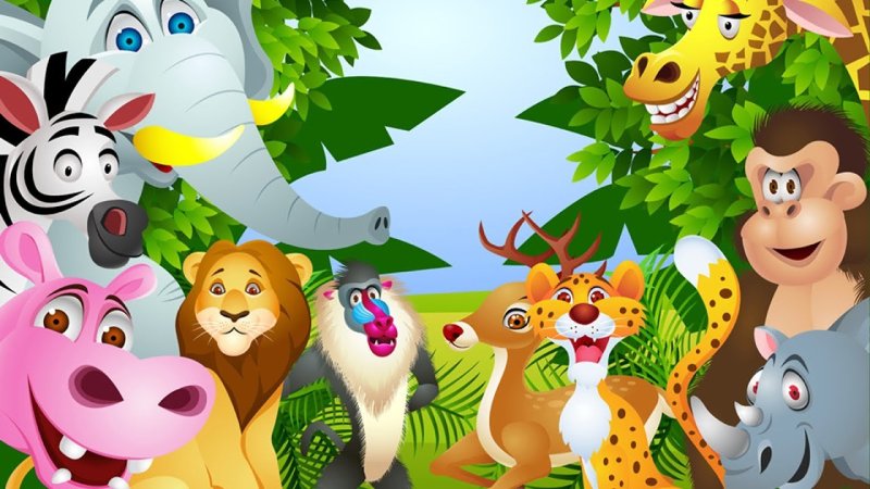 Зов джунглей с животными