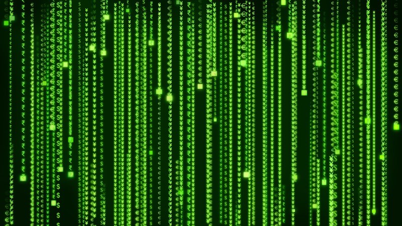 Матрица фон