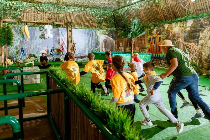 Зов джунглей квест шоу