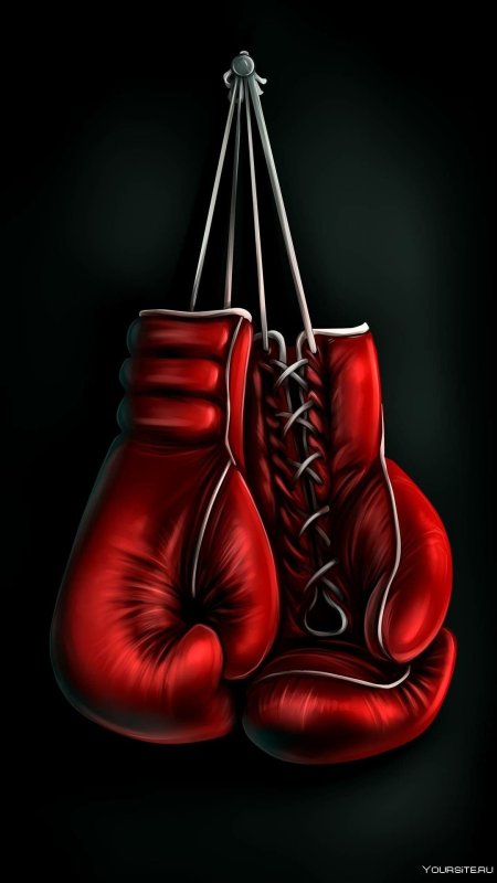 Перчатки для бокса висят