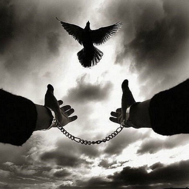 Фото на аватарку со смыслом