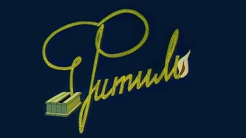 Фитиль 1962 мультфильм