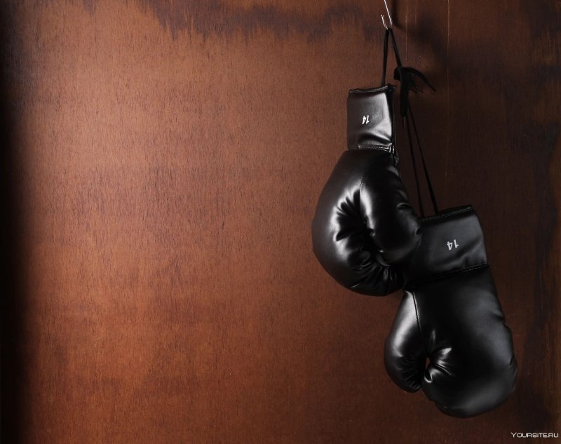 Боксерские перчатки Alexander Wang