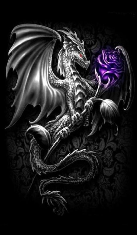 Дракон картинки