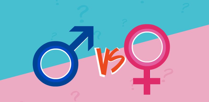 Игра битва полов