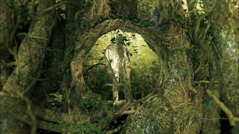 Моя Планета 2013 Artem Ludyankov