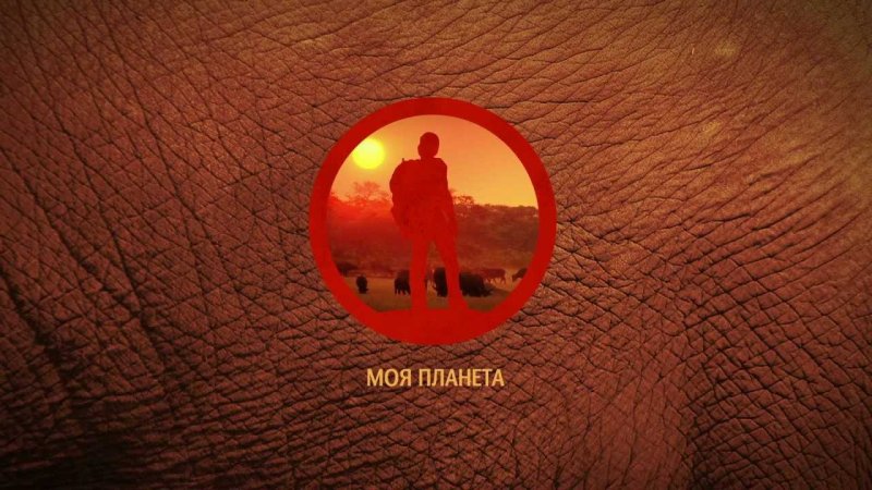 Моя Планета 2012