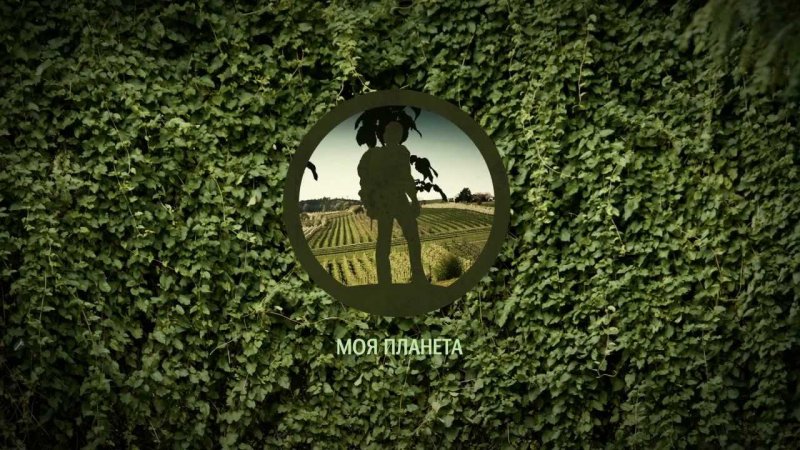 ID моя Планета