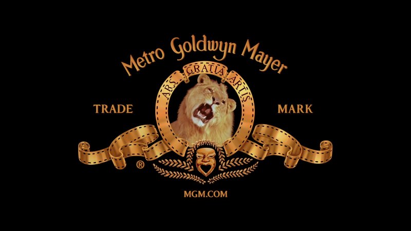 Metro Goldwyn Mayer Leo