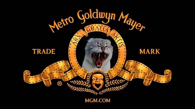 Метро Голден Майер Лев