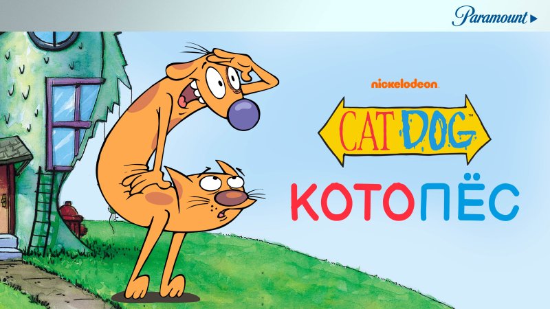 Котопес Постер