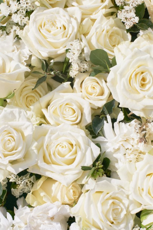 Белые розочки