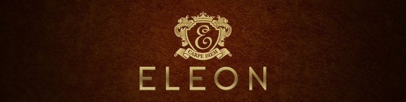 Отель Элеон надпись