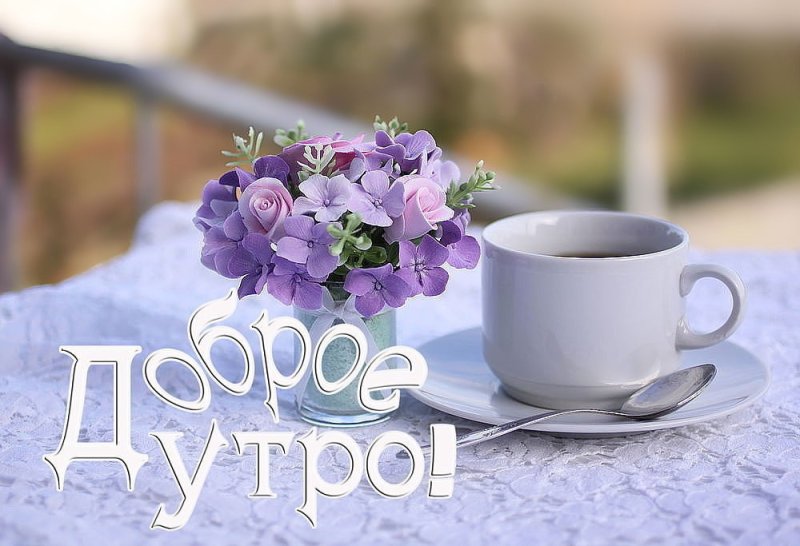 Доброе утро Лаванда