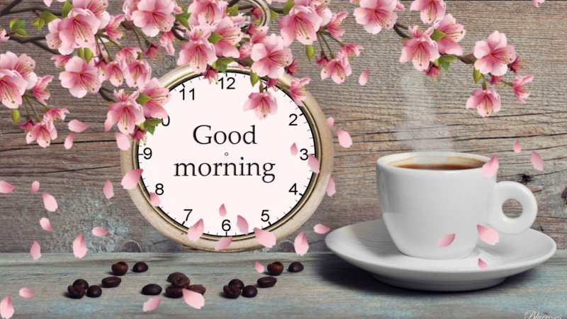 Стильные открытки с добрым утром