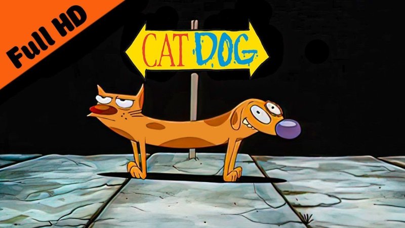 Единственный в мире малыш Котопес