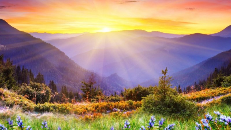 Красивые фото с добрым утром на природе