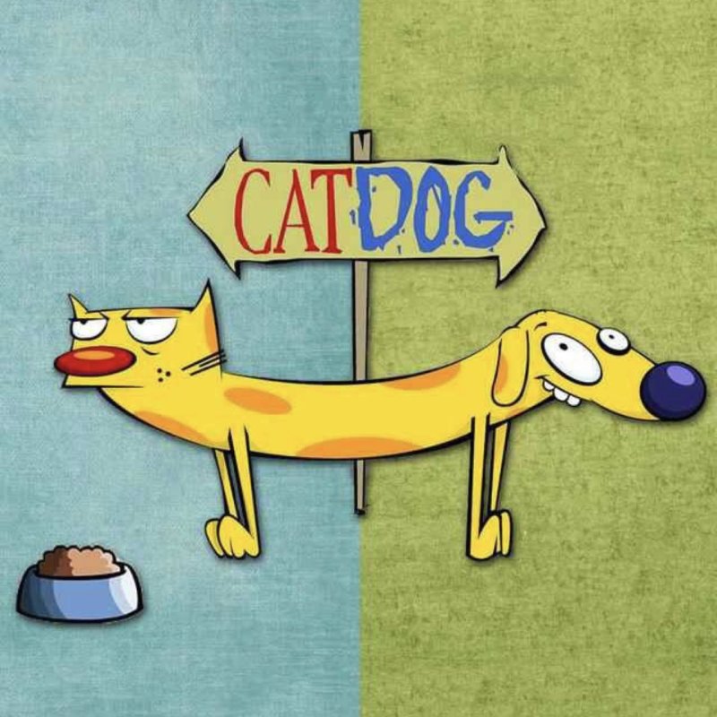 Котопес заставка