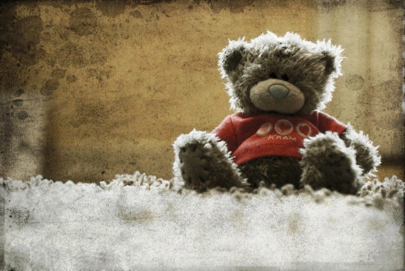 Мишка Тедди обои