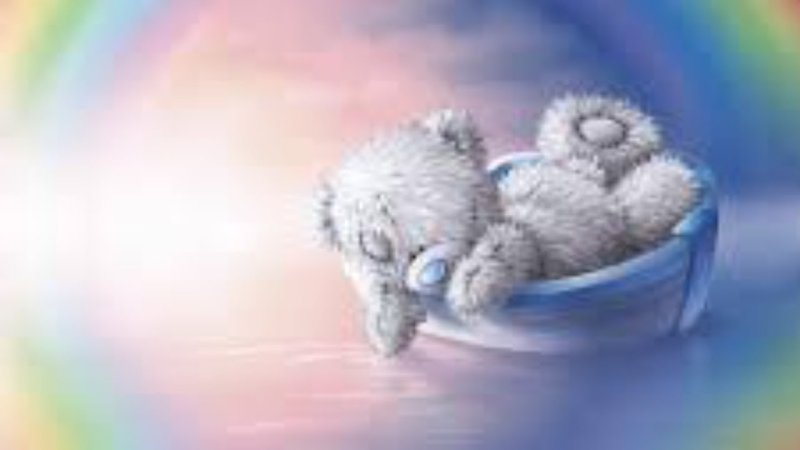 Обои с мишками