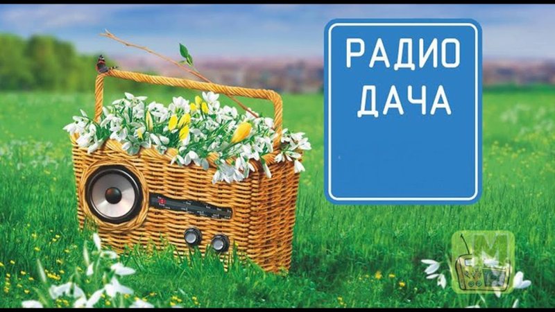 Радио дача логотип