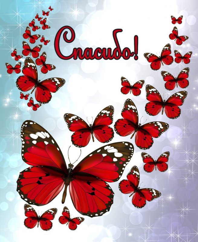 Открытки спасибо большое