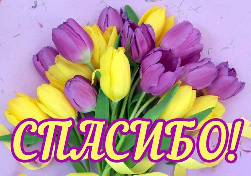 Спасибо цветы