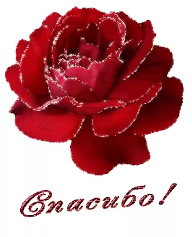 Спасибо большое