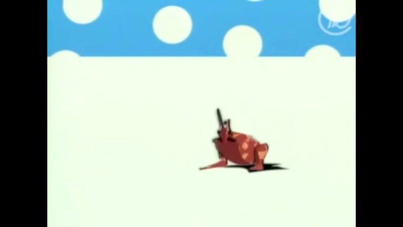 Шутка за шуткой зайцы