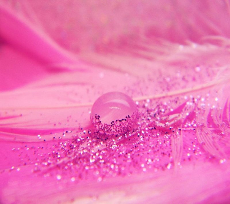 Розовые обои