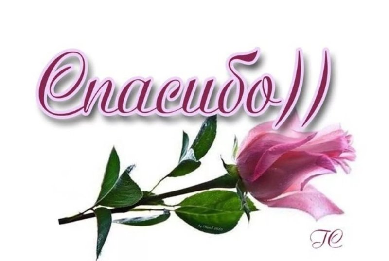 Открытки с благодарностью спасибо