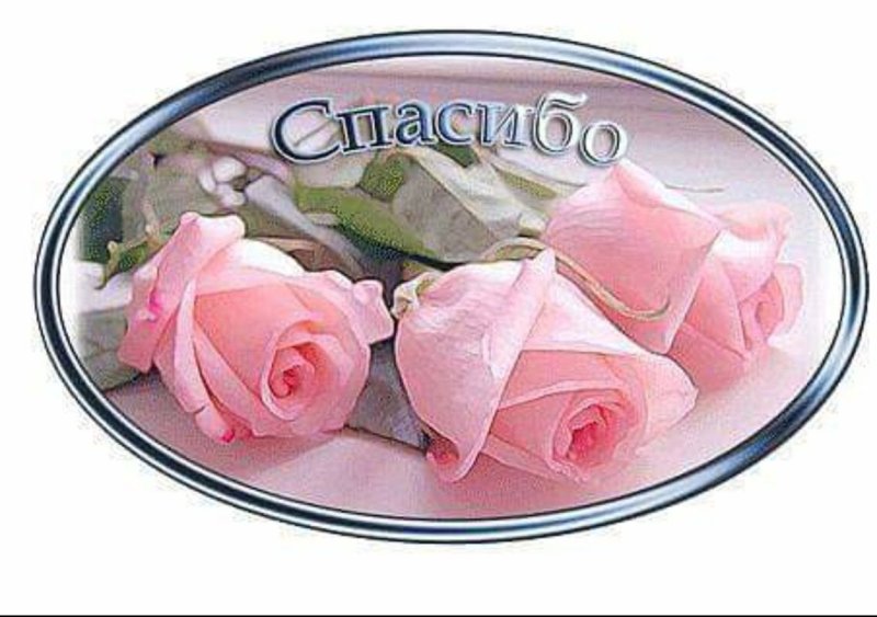 Красивые открытки с благодарностью