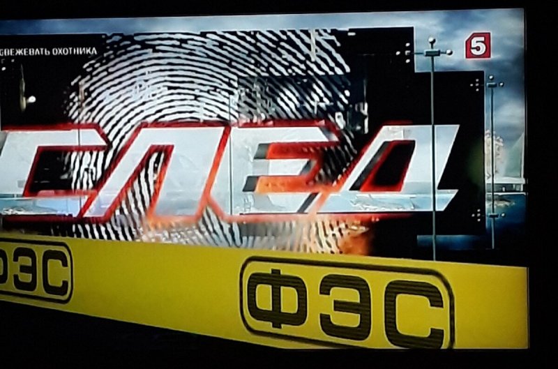 ФЭС логотип след