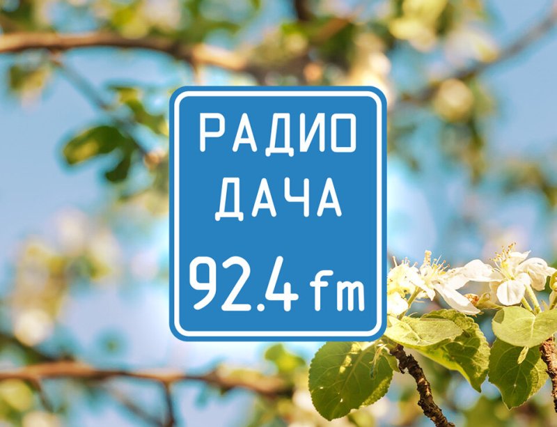 Радио дача логотип