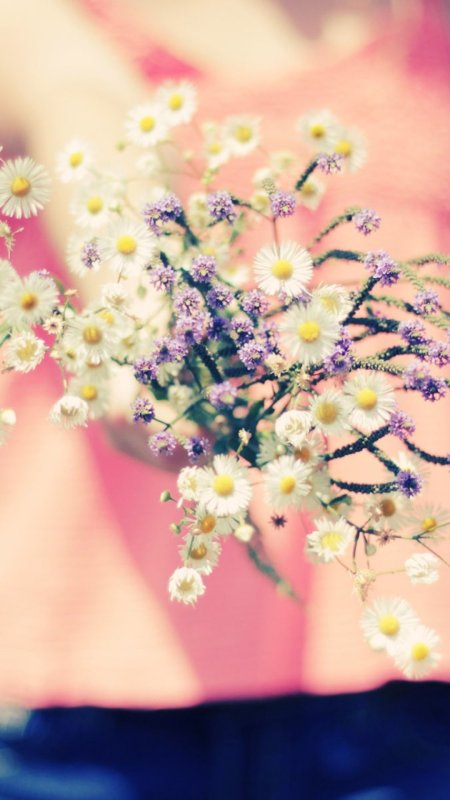 Нежные весенние цветы