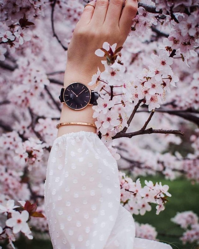 Красивые весенние цветочки в руке