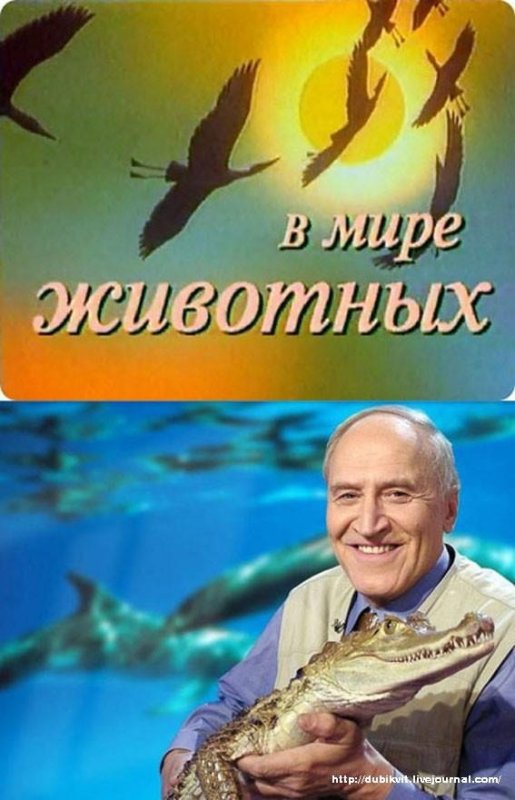 Николай Дроздов передача