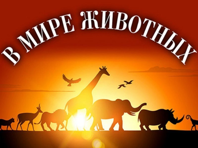 В мире животных надпись