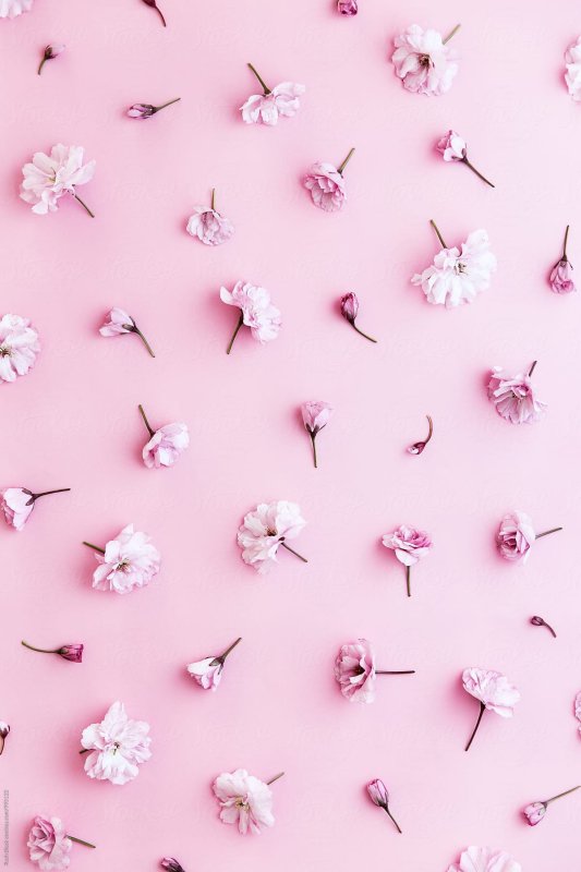 Фон мелкие розовые цветы