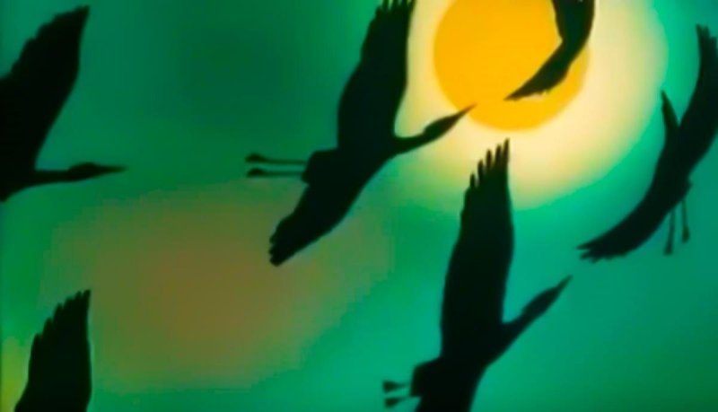 В мире животных телепередача