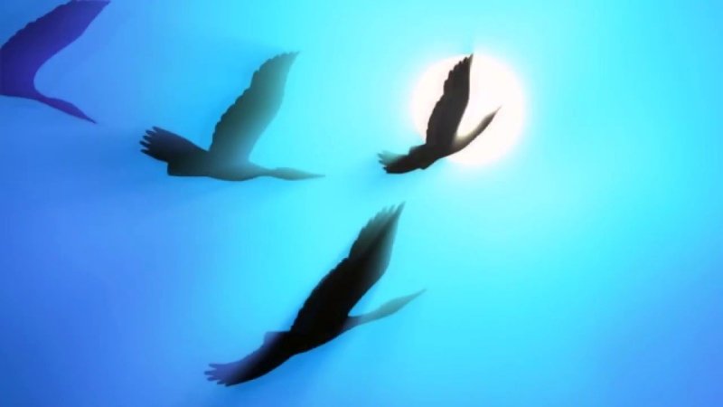 Музыкальная заставка в мире животных