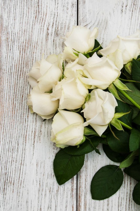 Розы лежат на столе